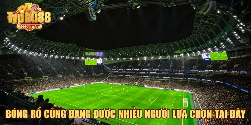 Bóng rổ cũng đang được nhiều người lựa chọn tại đây