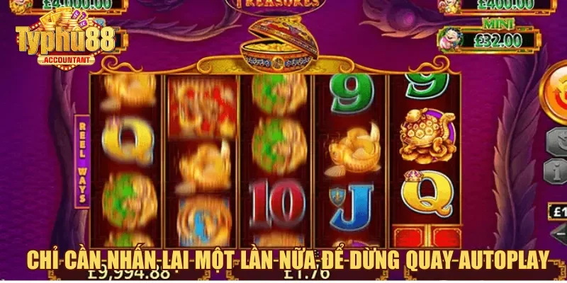 Chỉ cần nhấn lại một lần nữa để dừng quay Autoplay