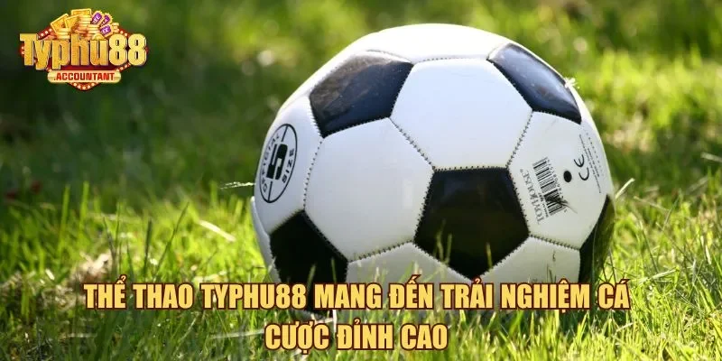 Thể thao Typhu88 mang đến trải nghiệm cá cược đỉnh cao