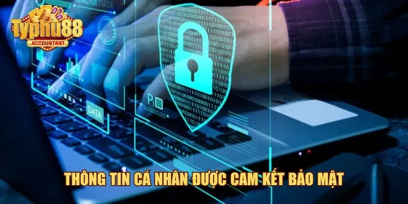 Thông tin cá nhân được Typhu88 cam kết bảo mật